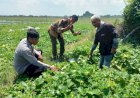 Kapolsek-Tanggulangin-Masifkan-Peran-Bhabinkamtibmas-Sambang-Desa-Dukung-Program-Ketahanan-Pangan-Nasional