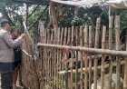Polresta-Sidoarjo-|-Tingkatkan-Kualitas-Hewan-Ternak,-Peran-Aktif-Bhabinkamtibmas-Dioptimalkan