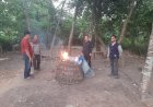 Polisi-Datangi-Lokasi-Judi-Sabung-Ayam-di-Krian