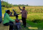 Polsek-Prambon-Tinjau-Persiapan-Lahan-Jagung,-Perkuat-Program-Swasembada-Pangan-di-Sidoarjo