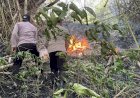 Polres-Trenggalek-Terjunkan-Personel-Jajaran-Padamkan-Api-di-Gunung-Orak-Arik