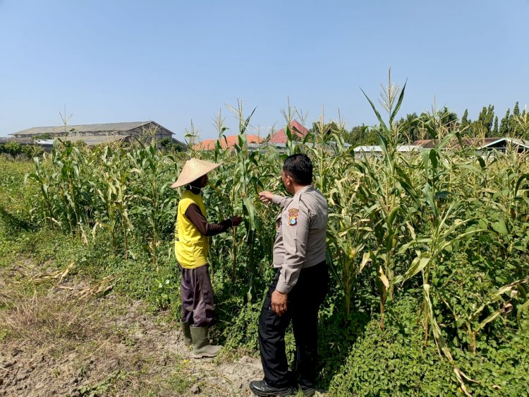 Petani Desa Lebo Apresiasi Dukungan Polisi Terhadap Upaya Ketahanan Pangan