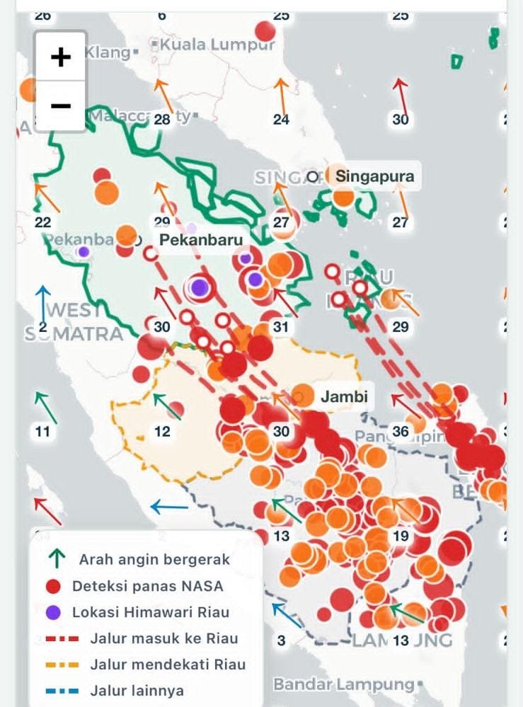 Polda Riau Intensifkan Penanganan Karhutla, 313 Hotspot Terdeteksi di Wilayah Riau
