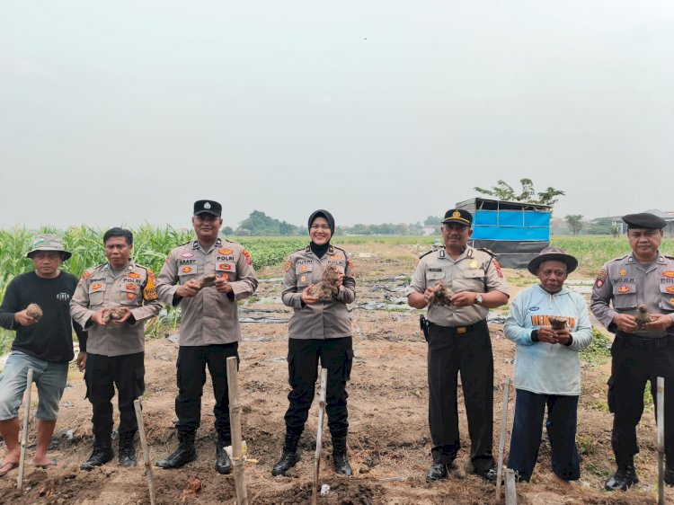 Polresta Sidoarjo Ajak Warga Budidayakan Uwi Ungu, Dukung Ketahanan Pangan dan Green Policing